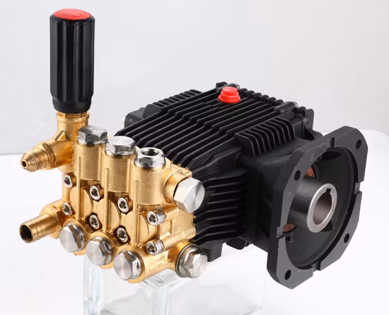 New Model Custom Car Washing Pump Kit Cleaning Water Pump High Pressure Car Spray Pump