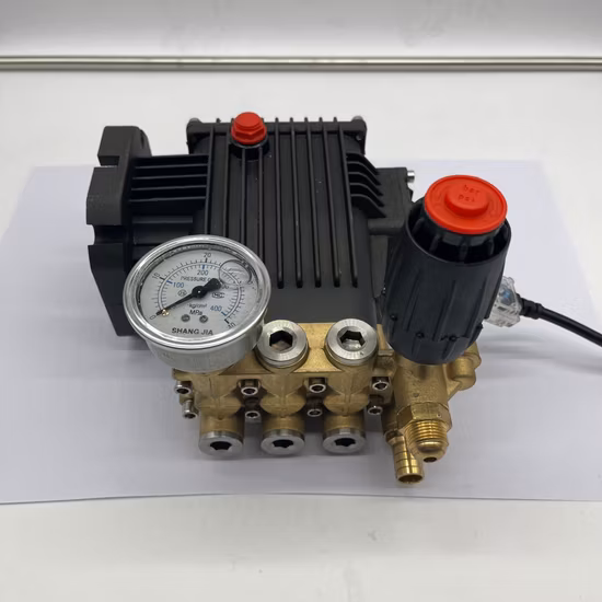 New Model Custom Car Washing Pump Kit Cleaning Water Pump High Pressure Car Spray Pump